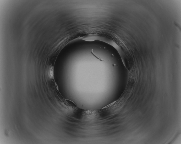 X0000093450095200710121403