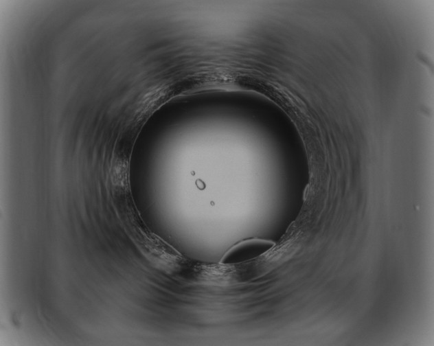 X0000093450096200710121403