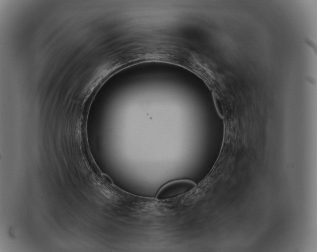 X0000093450098200710121402