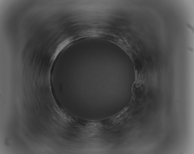 X0000093450099200710121402