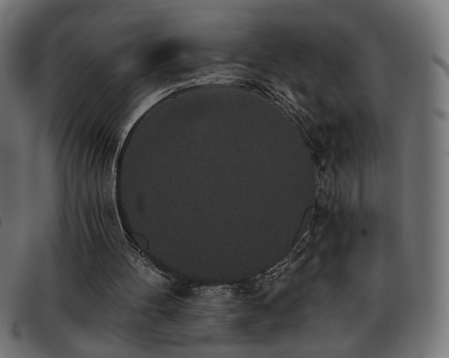 X0000093450100200710121402