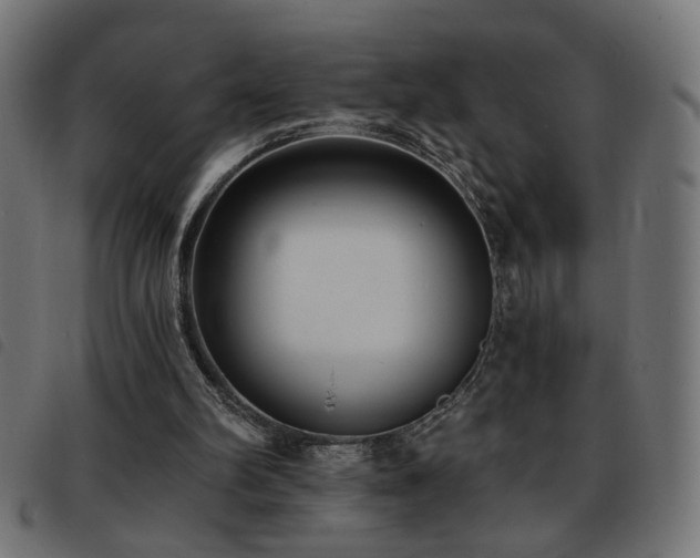 X0000093450102200710121402