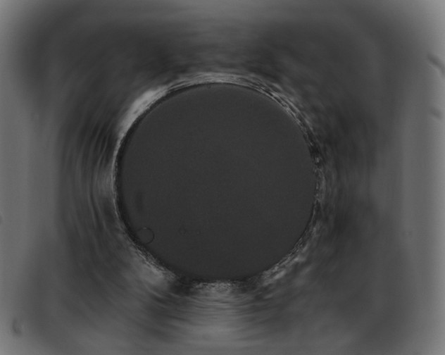 X0000093450104200710121402