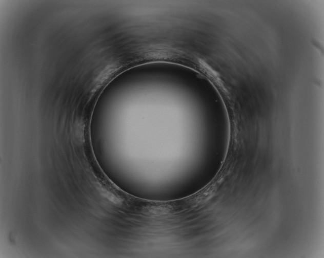 X0000093450106200710121402