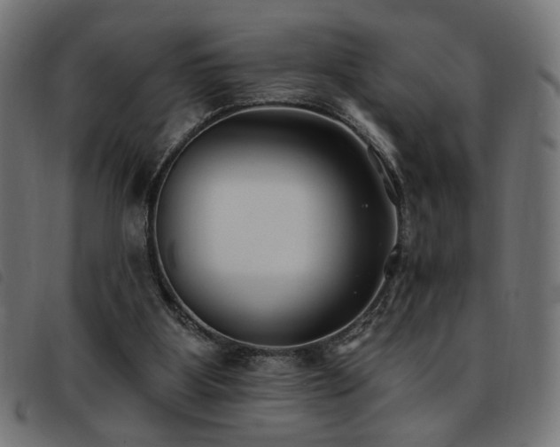 X0000093450107200710121402