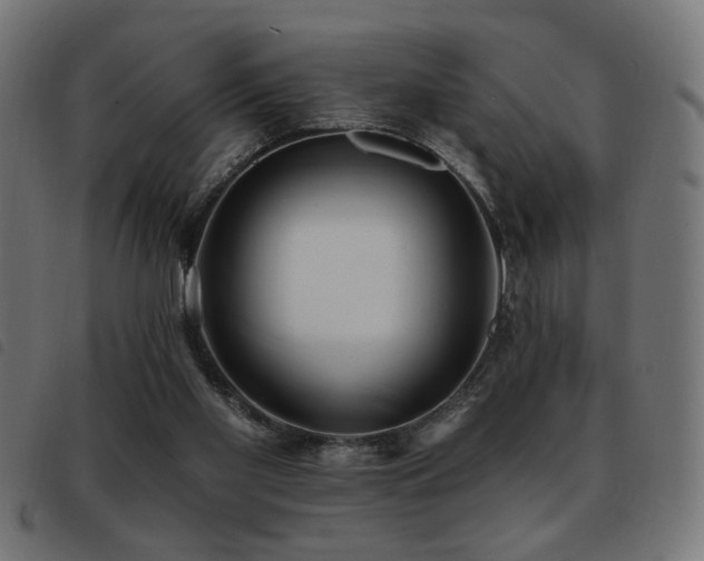 X0000093450109200710121402