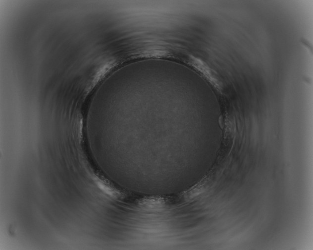 X0000093450110200710121402