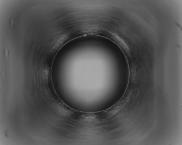 X0000093450113200710121402