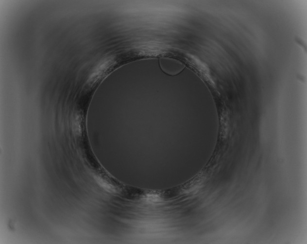 X0000093450114200710121402