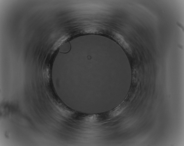 X0000093450116200710121402