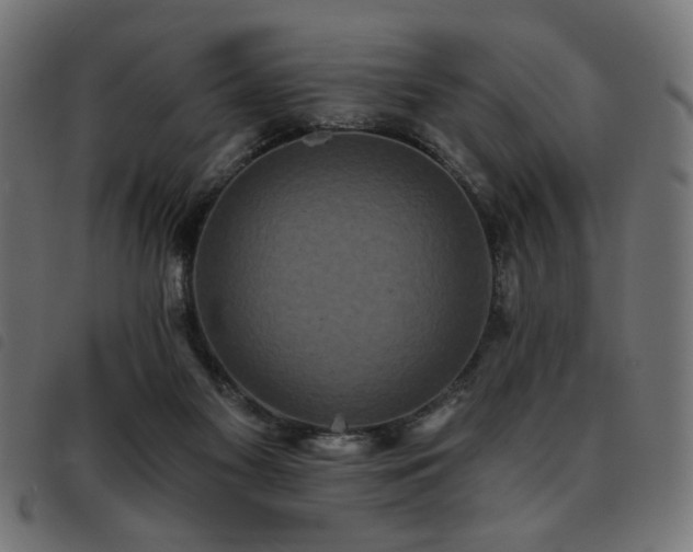 X0000093450117200710121402