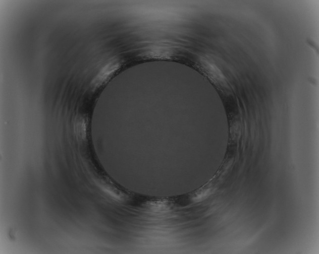 X0000093450120200710121402