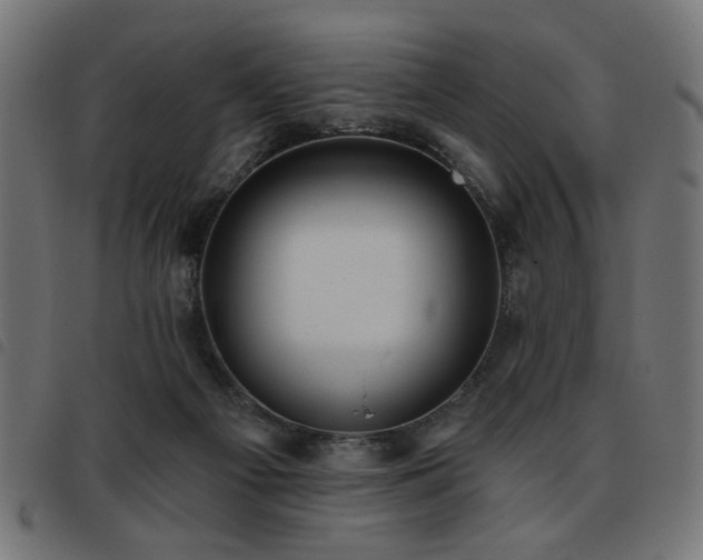 X0000093450121200710121402