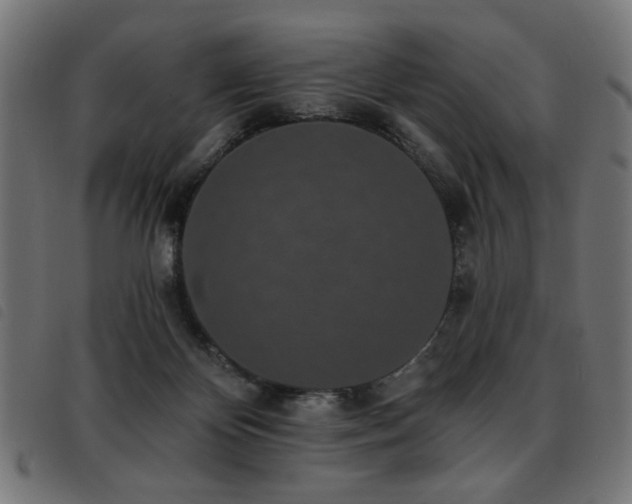 X0000093450124200710121402