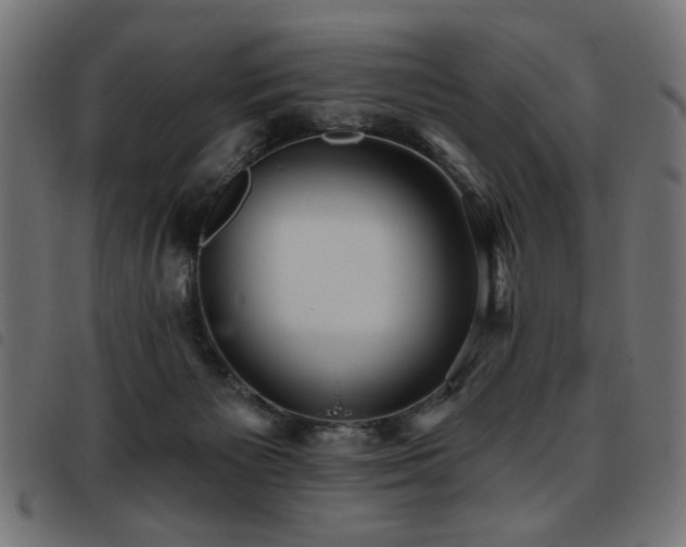 X0000093450125200710121402