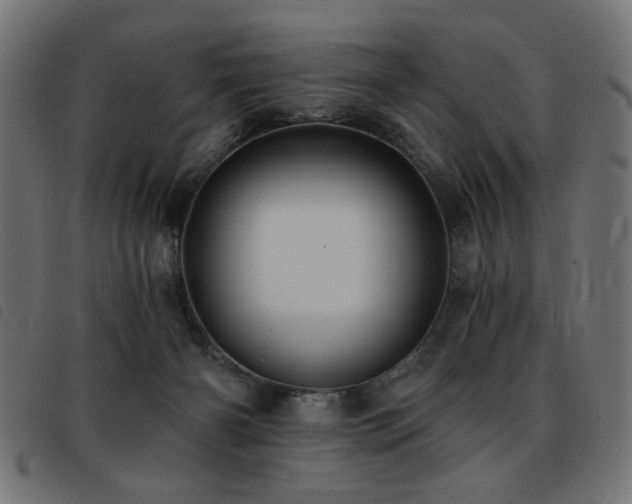 X0000093450126200710121402