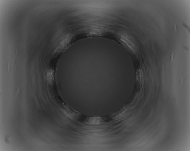 X0000093450127200710121402