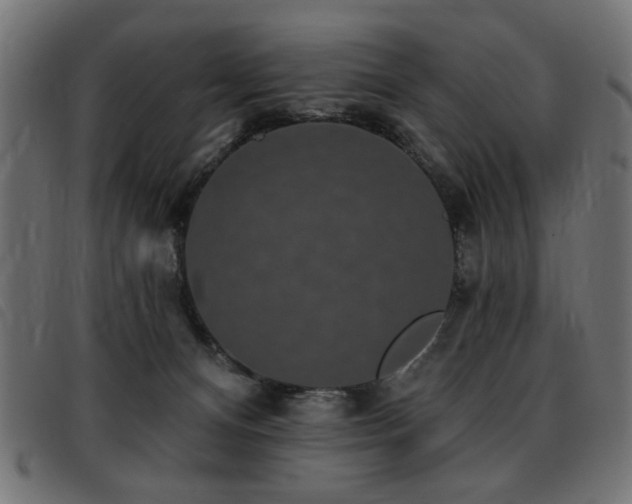 X0000093450128200710121402