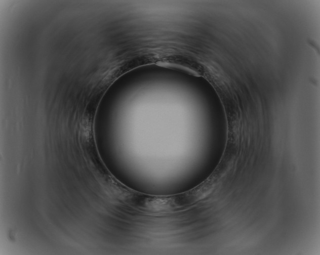 X0000093450129200710121402