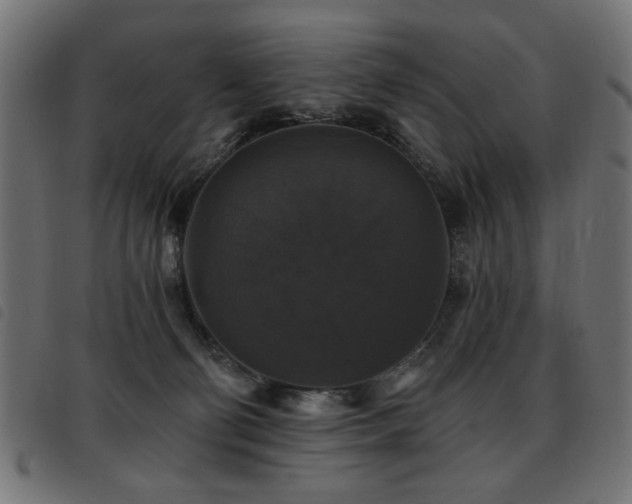 X0000093450130200710121402