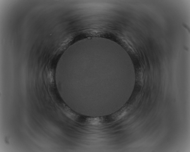 X0000093450131200710121402