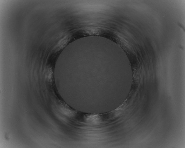 X0000093450132200710121402