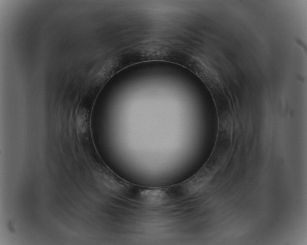 X0000093450133200710121402