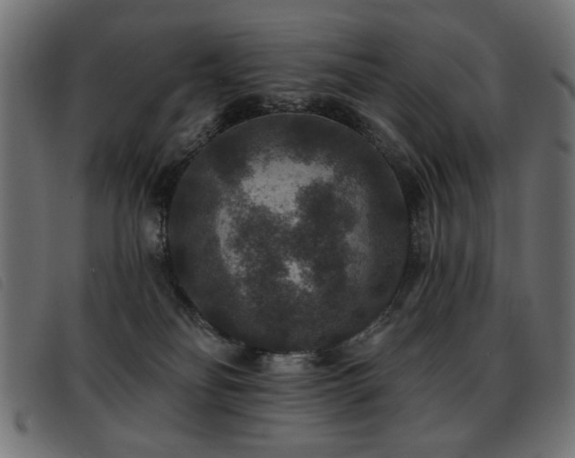 X0000093450134200710121402