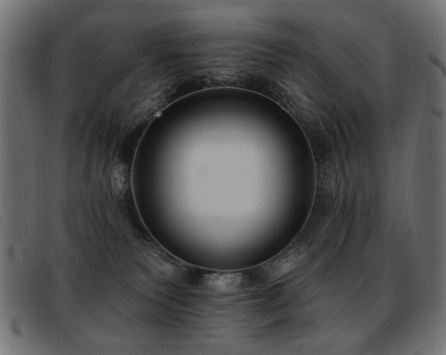 X0000093450135200710121402