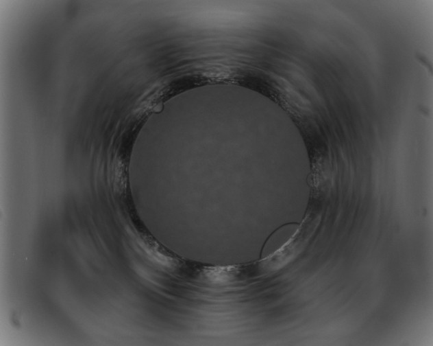 X0000093450136200710121402