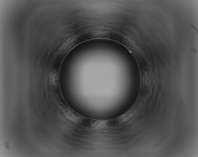 X0000093450138200710121402