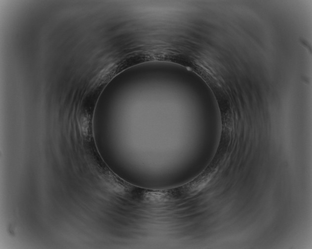 X0000093450139200710121402