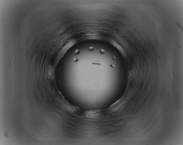 X0000093450141200710121402