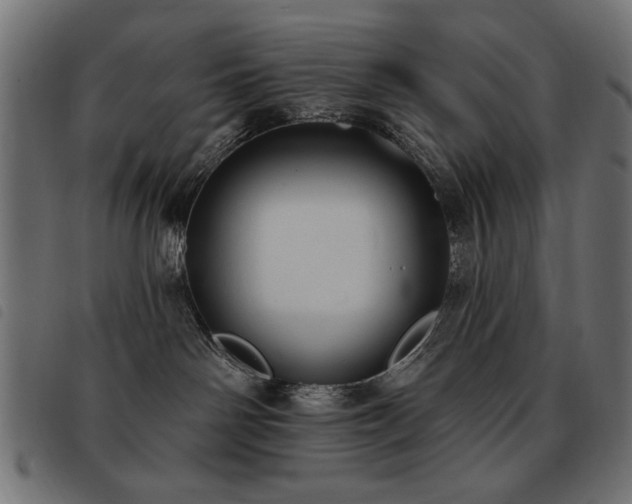 X0000093450142200710121402