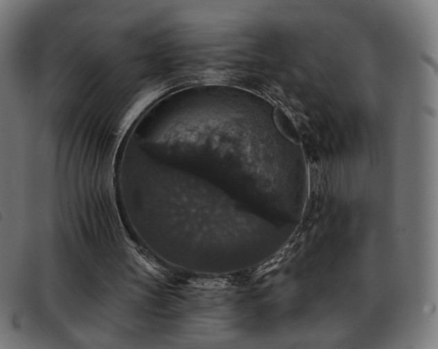 X0000093450147200710121401