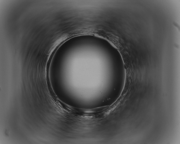 X0000093450148200710121401