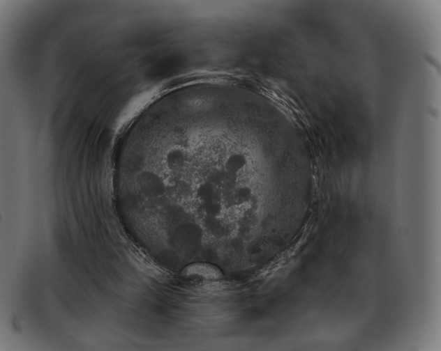 X0000093450149200710121401