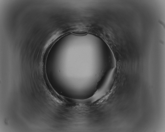 X0000093450150200710121401