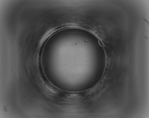 X0000093450151200710121401