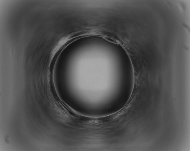 X0000093450152200710121401