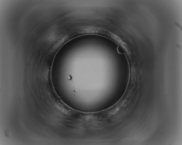 X0000093450153200710121401