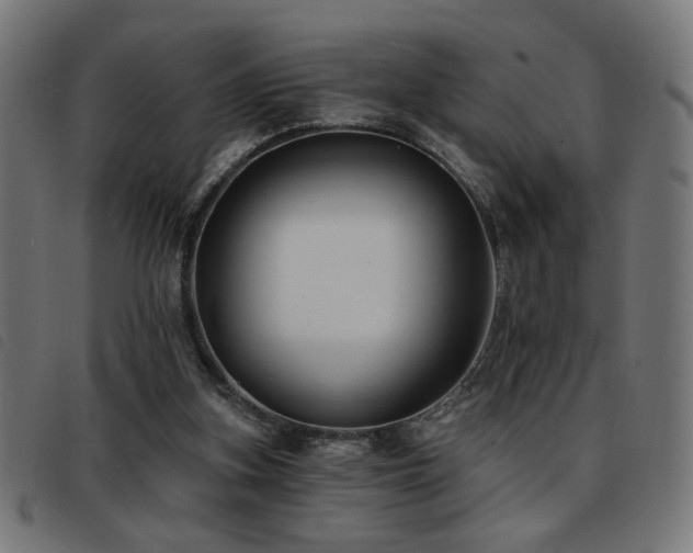 X0000093450155200710121401