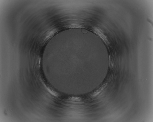 X0000093450157200710121401