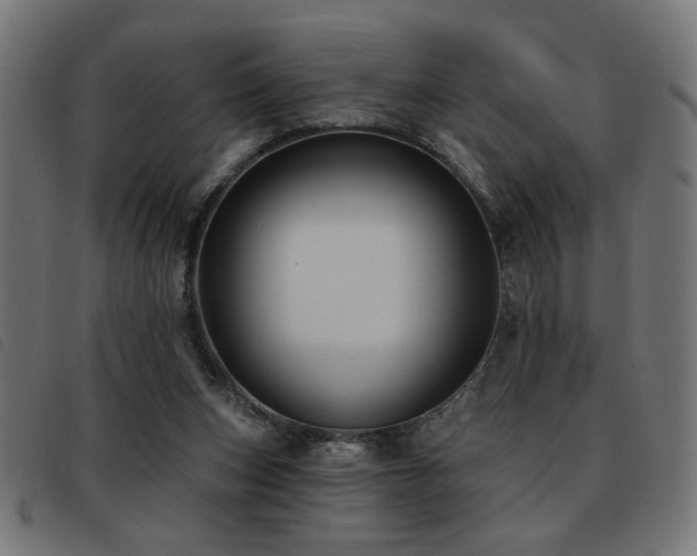 X0000093450159200710121401