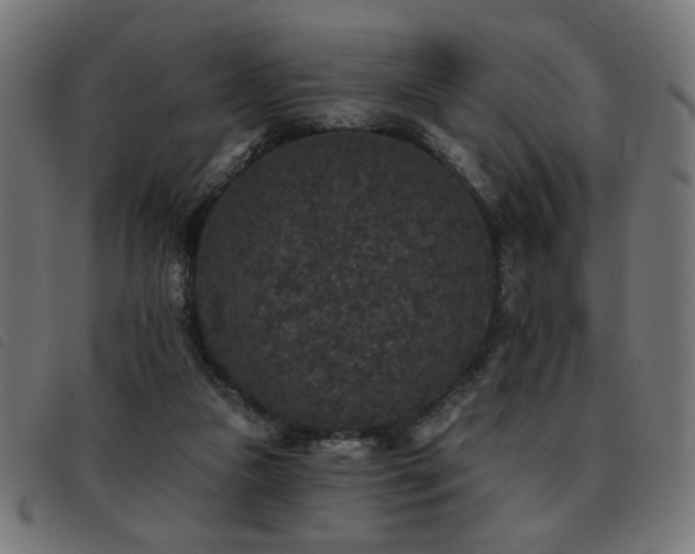 X0000093450161200710121401