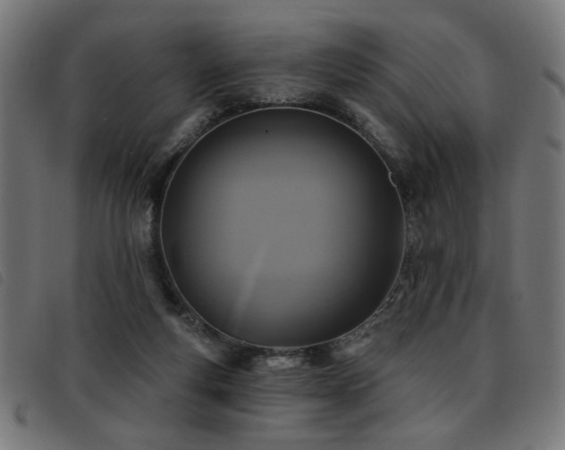 X0000093450163200710121401