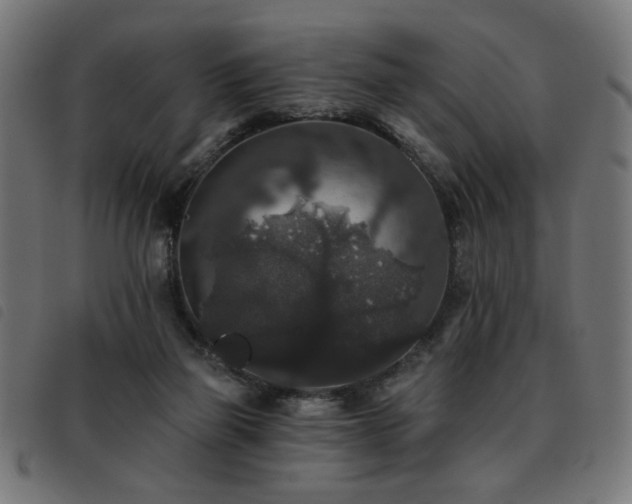 X0000093450165200710121401