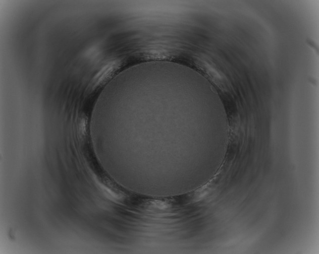 X0000093450166200710121401