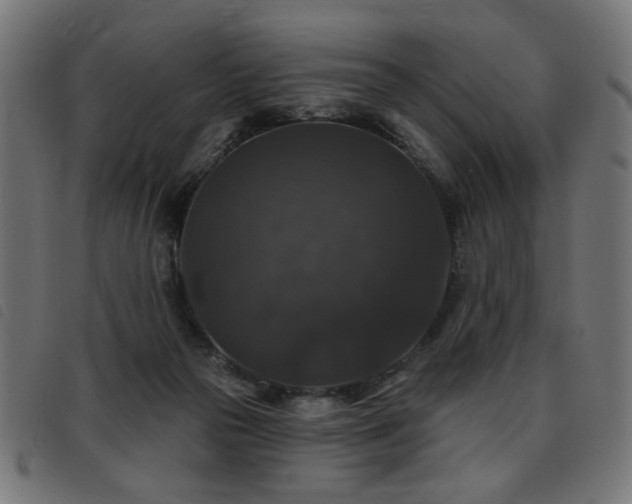 X0000093450169200710121401