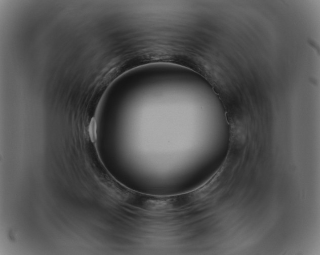 X0000093450170200710121401